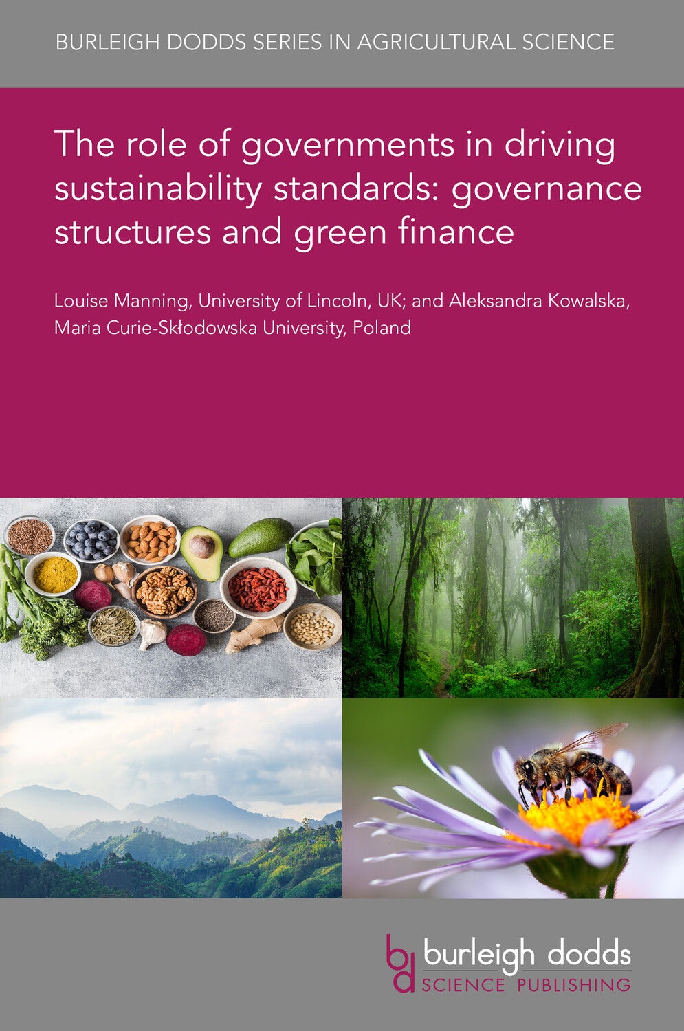 Book cover image for The role of governments in driving sustainability standards: governance structures and green finance ISBN: 9781835452967